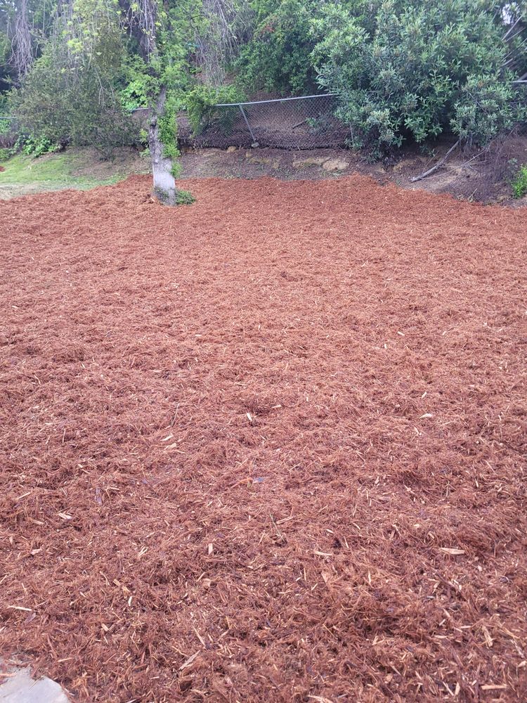 LARRY’S A1 LANDSCAPING Decatur, Texas Landscaping Yelp