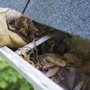 Photo of Pacific Gutter Cleaning