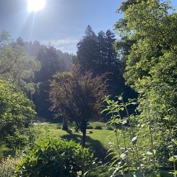 River View Garden Resort - View from one of the rooms - Resorts Near Me - Monte Rio, California