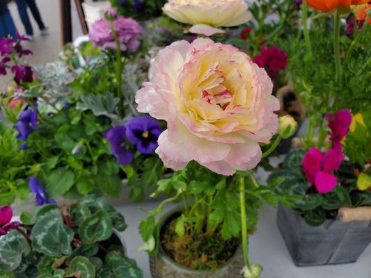 Kenosha HarborMarket by null