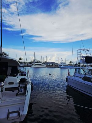 Matt’s Stock Island Kitchen & Bar by null