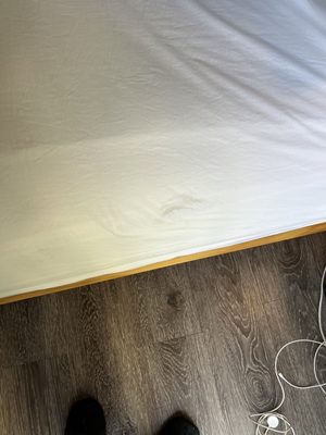 Moxy Memphis Downtown by null