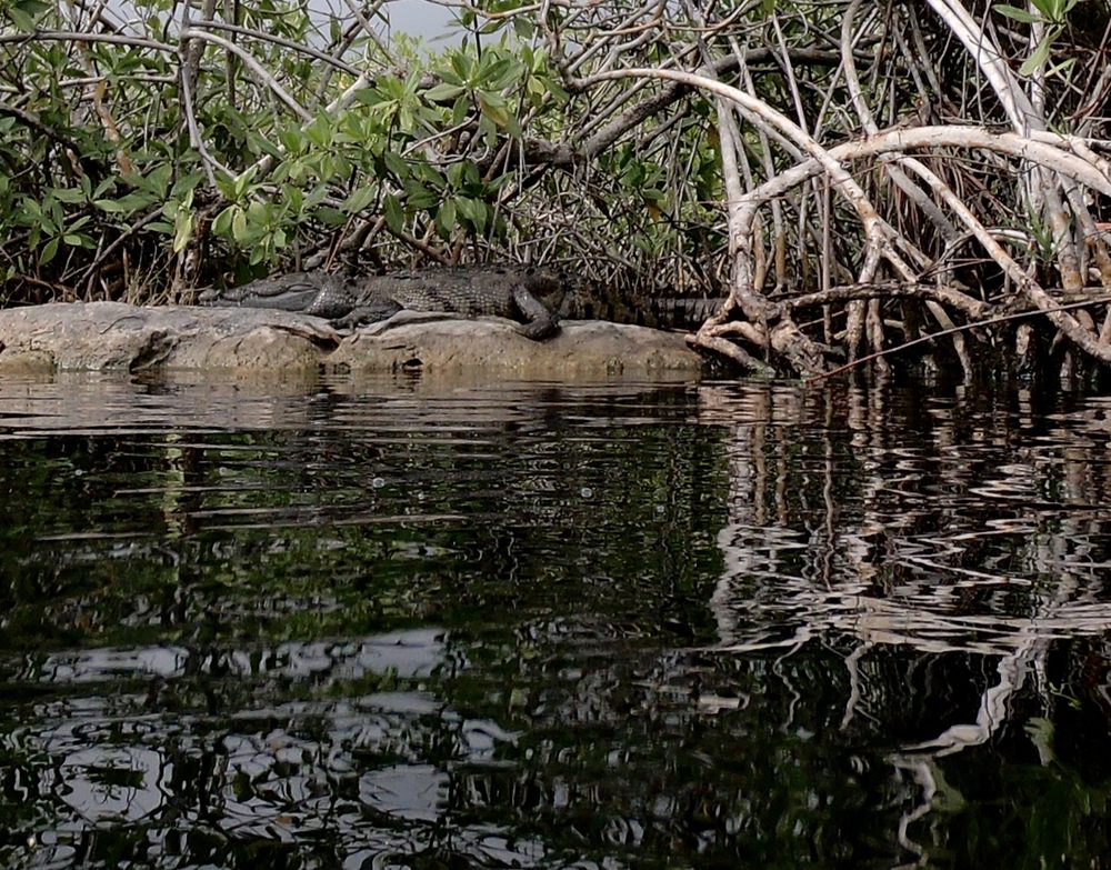 AQUAERIUS FREEDIVING Xibalba, Cancún, Quintana Roo, Mexico