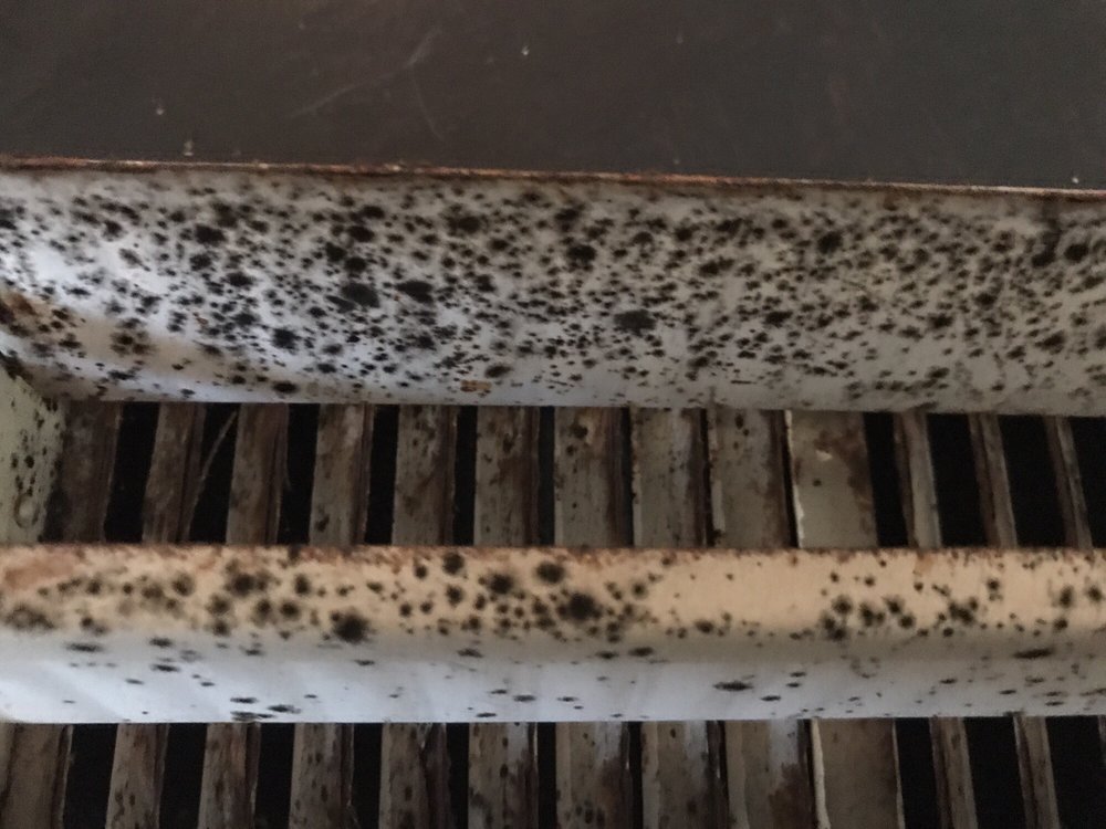 CARRIAGE PARK APARTMENTS Updated June 2024 11 Photos 4901