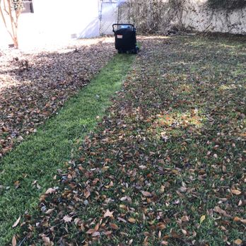 Another Hand Lawn & Leaf Service - Leaf removal - Lawn Services Near Me Another Hand Lawn & Leaf Service - Leaf removal - Lawn Services Near Me