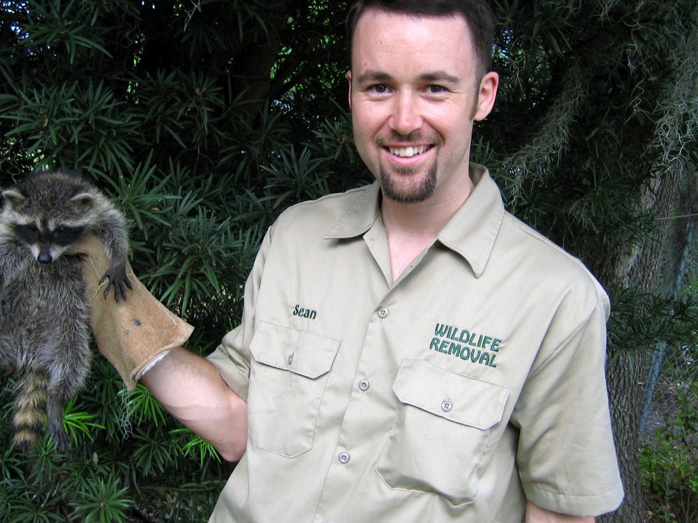 PEST ANIMAL REMOVAL 25 Photos Orlando, Florida Pest Control