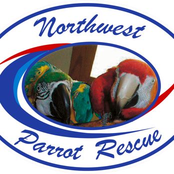 Northwest Parrot Rescue - Pet Adoption Near Me - Vancouver, Washington Northwest Parrot Rescue - Pet Adoption Near Me - Vancouver, Washington