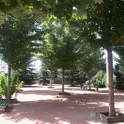 Place Gensoul