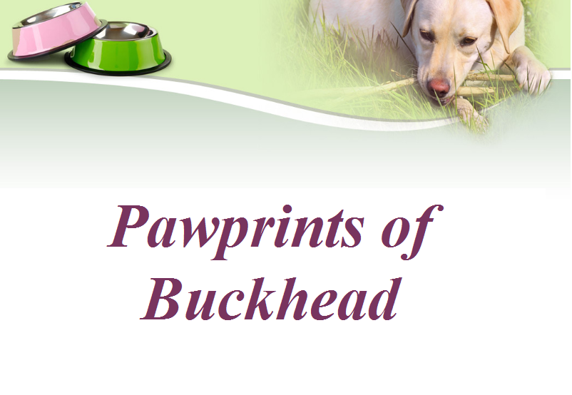 PAWPRINTS OF BUCKHEAD Smyrna, Pet Sitting Phone Number Yelp