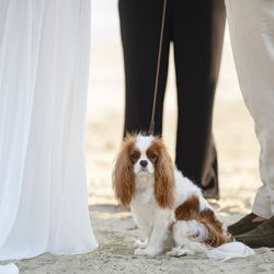 Ave Sol Photography - Wedding at WHotel Punta Mita