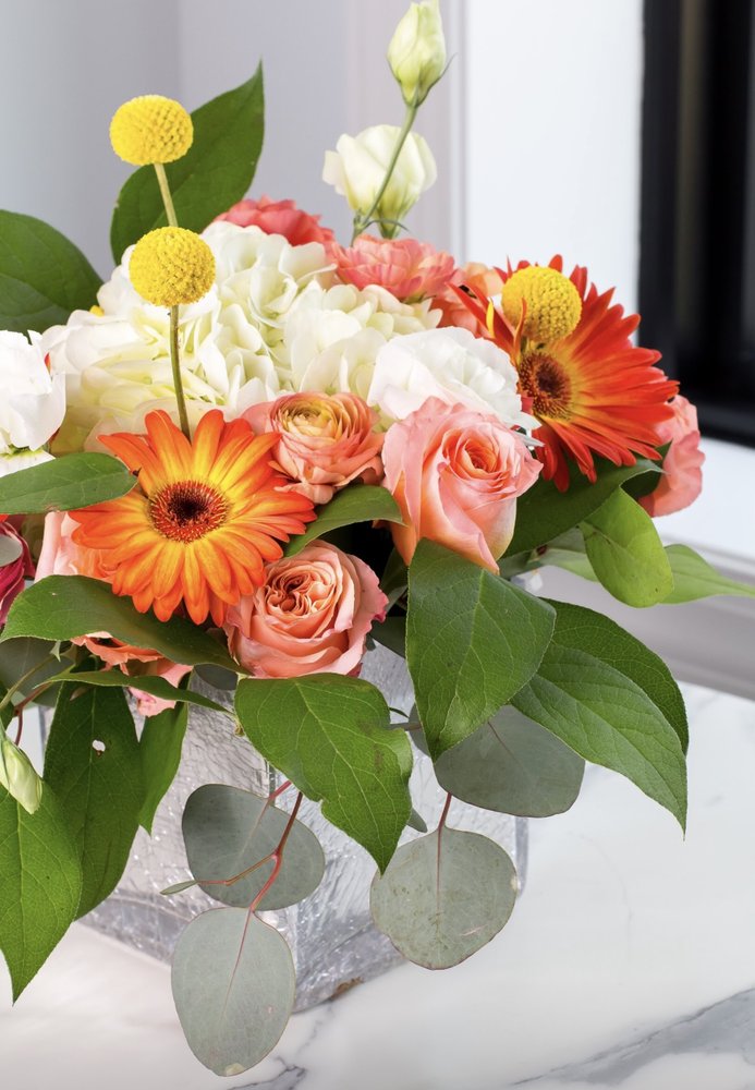 DUNDEE GARDENS Updated May 2024 11 Photos 2407 Sans Souci Pkwy