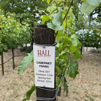 HALL Wines - Wineries Near Me - Saint Helena, California HALL Wines - Wineries Near Me - Saint Helena, California