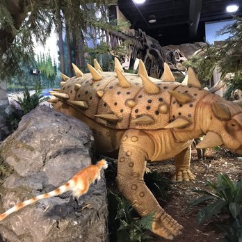 The Dinosaur Store - Museums Near Me - Cocoa Beach, Florida
