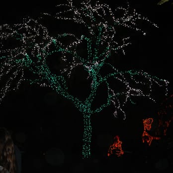 Zoolights - Zoos Near Me - Phoenix, Arizona