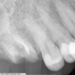 Pars Dental Clinic
