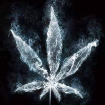 Morganton Hemp - Head Shops Near Me - Morganton, North Carolina