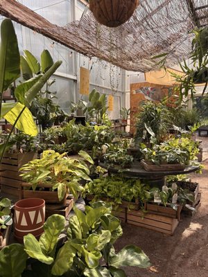 Maypop Coffee & Garden Shop by null