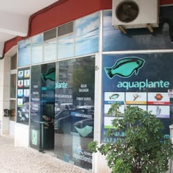 AQUAPLANTE