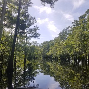 Capt Duke's Airboat Rides - Boat Tours Near Me - Christmas, Florida