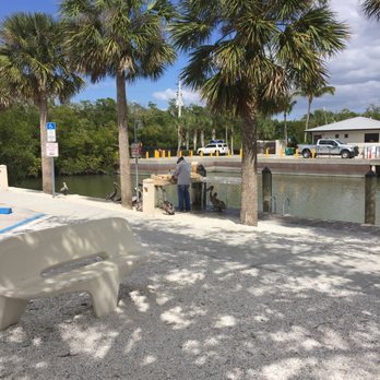 Bayview Park - Fish cleaning with an audience 12 pelicans - Parks Near Me - Naples, Florida