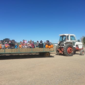 McCall Pumpkin Patch - Pumpkin Patches Near Me - Moriarty, New Mexico