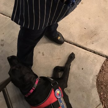 MB Grille - The service dog even loves Sarah & the service at MB Grille - New American Near Me - Simi Valley, California