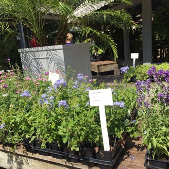 Thompson + Hanson - Nurseries & Gardening Near Me - Houston, Texas