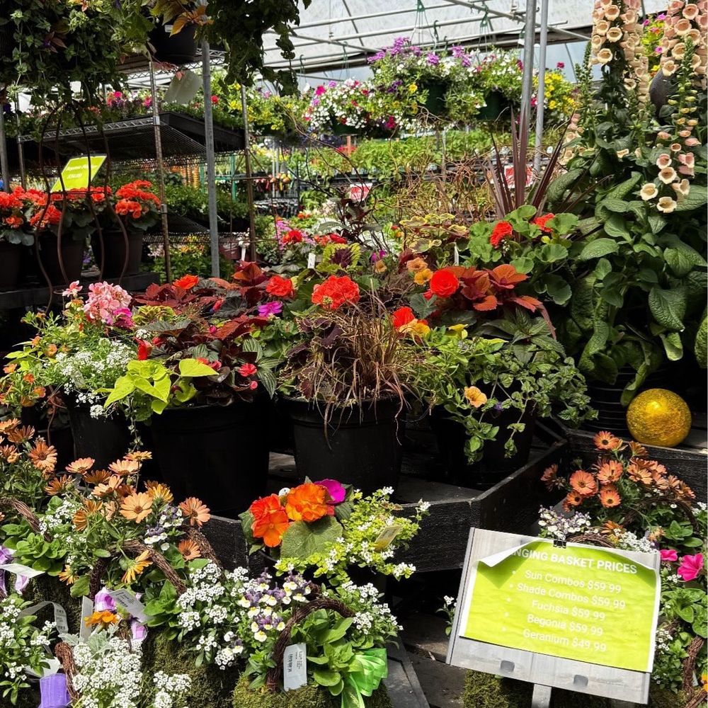 Watson's Greenhouse - Garden - Nurseries & Gardening Near Me - Auburn, Washington Watson's Greenhouse - Garden - Nurseries & Gardening Near Me - Auburn, Washington
