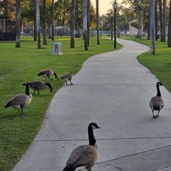 Pearson Park & Pool - Walk trail
