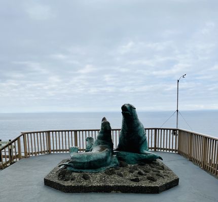 Sea Lion Caves by null