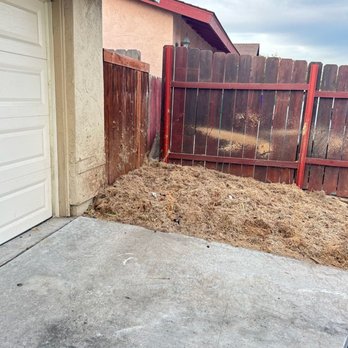 The Tree Bros - After the cut and stomp grind. - Tree Services Near Me The Tree Bros - After the cut and stomp grind. - Tree Services Near Me