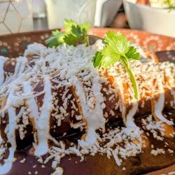 Zona Rosa - Chicken enchilada with mole Colorado sauce
