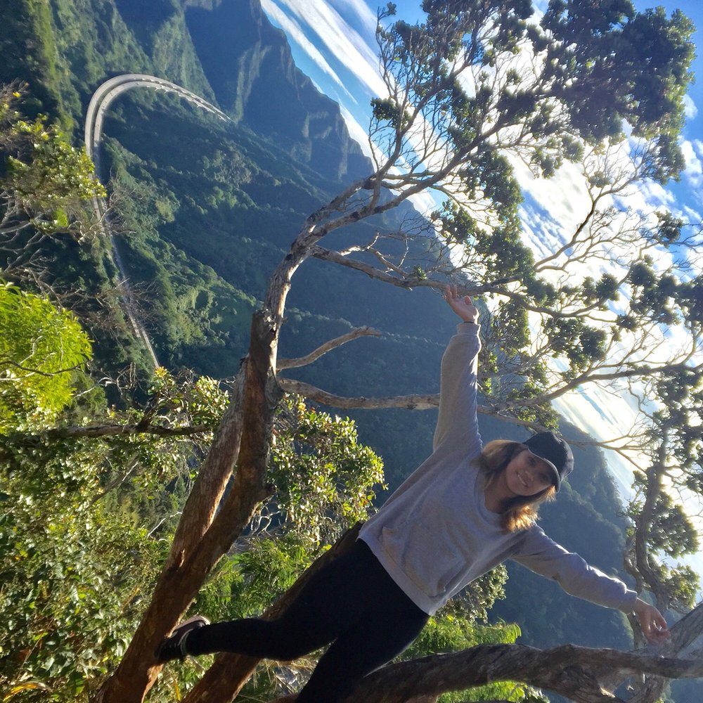 Aiea Loop Trail - Hiking Near Me - Aiea, Hawaii