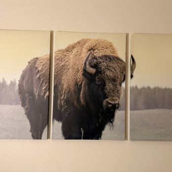 The Scout - Hotels Near Me - Cody, Wyoming The Scout - Hotels Near Me - Cody, Wyoming
