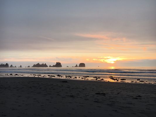 Shi Shi Beach by null