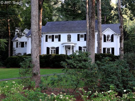 Buckhead by null