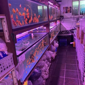 CK Aquarium - Local Fish Stores Near Me - San Gabriel, California CK Aquarium - Local Fish Stores Near Me - San Gabriel, California