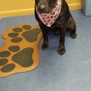 Love My Pet - Pet Groomers Near Me - Dyer, Indiana Love My Pet - Pet Groomers Near Me - Dyer, Indiana