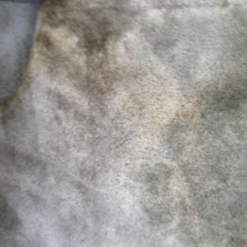 So-Cal Auto Detailing - My car smells like a wet dirty sock now! - Auto Detailing Near Me So-Cal Auto Detailing - My car smells like a wet dirty sock now! - Auto Detailing Near Me