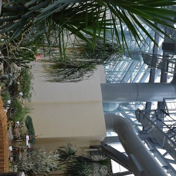 香港公園 - Parks Near Me - Hong Kong, HK 香港公園 - Parks Near Me - Hong Kong, HK