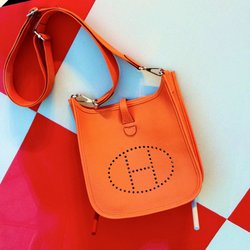 Hermès - Hermés Evelyne bag is among my favorites for its demureness, durability and style