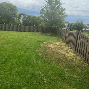 JD & C Big Services - This is how it looked after removing and sowing the seed; it grows in 2 weeks with constant watering. - Landscaping Near Me - BeachPark, Illinois JD & C Big Services - This is how it looked after removing and sowing the seed; it grows in 2 weeks with constant watering. - Landscaping Near Me - BeachPark, Illinois