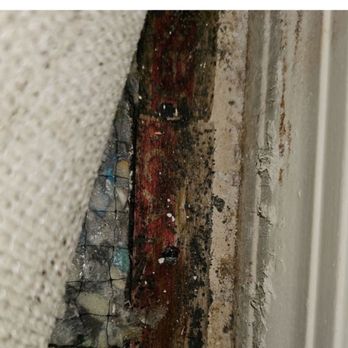 New Concept Property Management - Mold - Property Management Near Me - Tucson, Arizona New Concept Property Management - Mold - Property Management Near Me - Tucson, Arizona