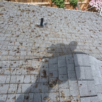 Redwood Contracting - Any moss on the roof let us take care of that - Landscaping Near Me - Medford, Oregon Redwood Contracting - Any moss on the roof let us take care of that - Landscaping Near Me - Medford, Oregon
