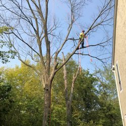 Sunbury Tree Care