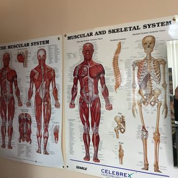 A+ Wellness Clinic - Acupuncture Near Me - Newport Beach, California A+ Wellness Clinic - Acupuncture Near Me - Newport Beach, California