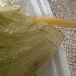 Pete's Drive In - Dirty lettuce in salad