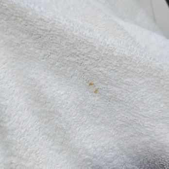 Howard Johnson by Wyndham Winter Haven FL - First set of towels - Hotels Near Me - Winter Haven, Florida Howard Johnson by Wyndham Winter Haven FL - First set of towels - Hotels Near Me - Winter Haven, Florida