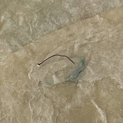 Shredded metal found