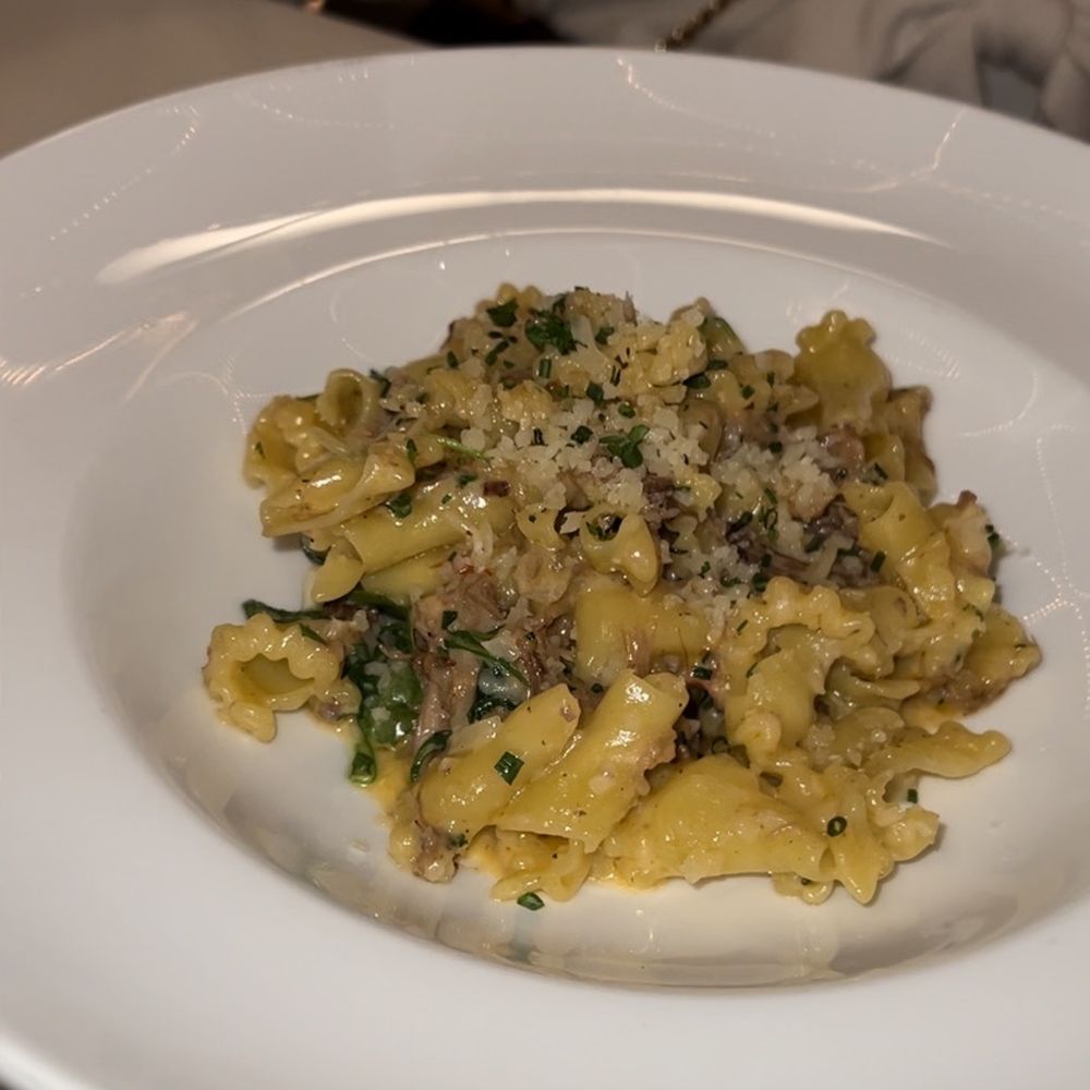 Margaux - CAMPANELLE  braised wild boar ragout, parmesan, arugula - French Near Me - Grand Rapids, Michigan